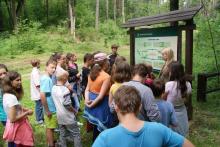 Uroczysko Gietrzwałd