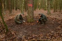 Coroczna jesienna ocena zagrożenia drzewostanów sosnowych,  czyli kiedy fitofagi mogą zagrozić trwałości lasu