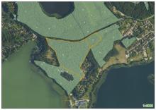 prace gospodarcze w leśnictwie Stary Dwór